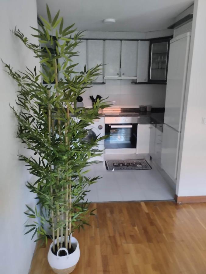 דירות פמפלונה Bonito Piso Zonas 1'5 Del Centro מראה חיצוני תמונה